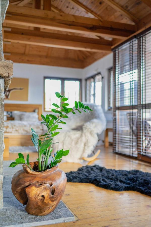 Rodope Nook Guest House Chepelare Dış mekan fotoğraf